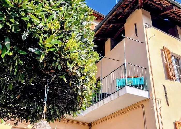 Il Grappolo Daire Giaveno